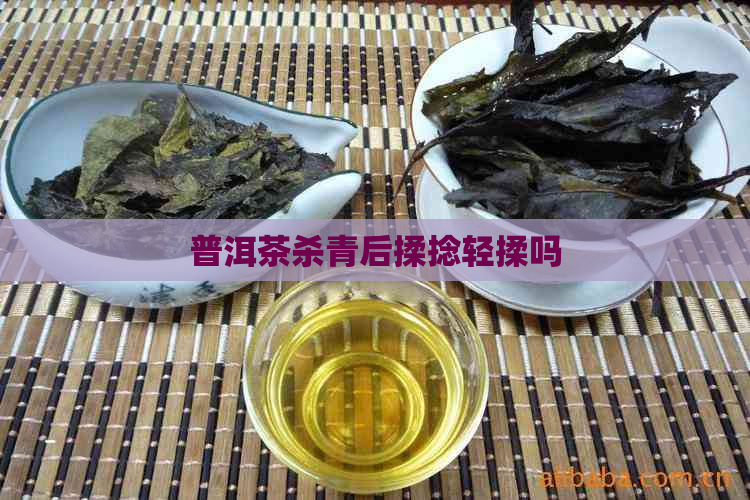 普洱茶杀青后揉捻轻揉吗