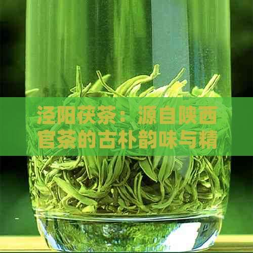 泾阳茯茶：源自陕西官茶的古朴韵味与精工艺