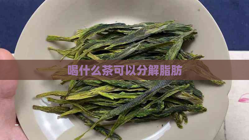 喝什么茶可以分解脂肪