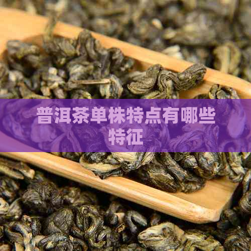 普洱茶单株特点有哪些特征