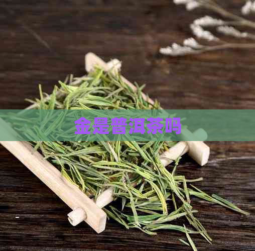 金是普洱茶吗