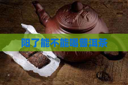 阳了能不能喝普洱茶