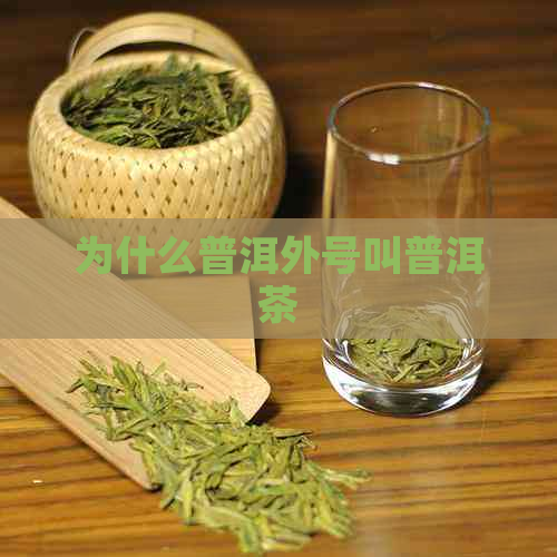 为什么普洱外号叫普洱茶