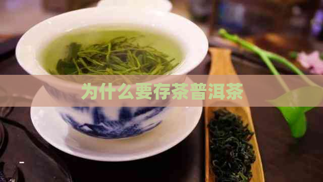 为什么要存茶普洱茶