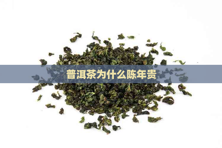 普洱茶为什么陈年贵