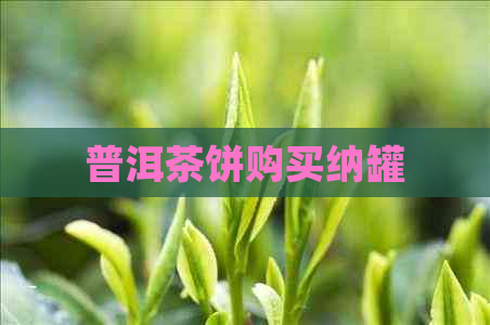 普洱茶饼购买纳罐