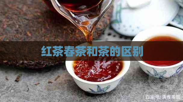 红茶春茶和茶的区别