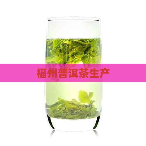 福州普洱茶生产