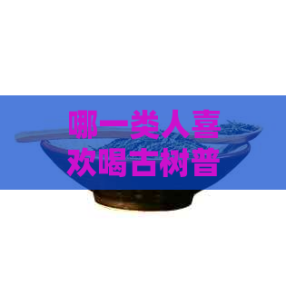 哪一类人喜欢喝古树普洱茶