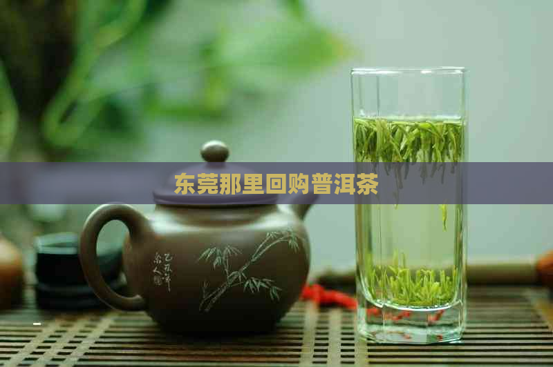 东莞那里回购普洱茶