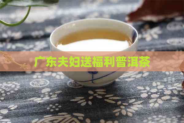 广东夫妇送福利普洱茶