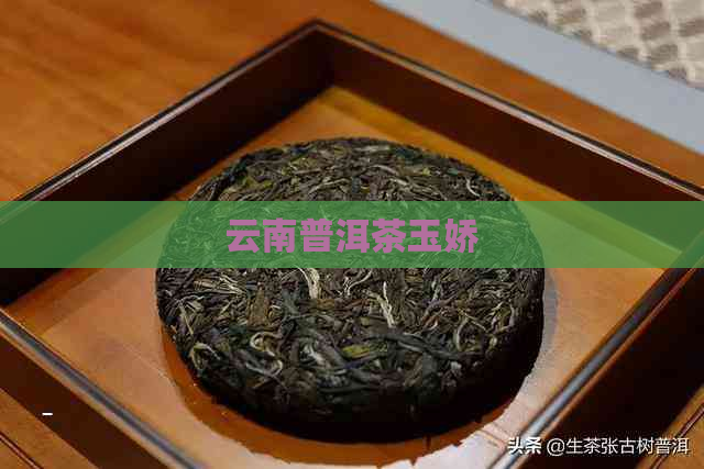 云南普洱茶玉娇