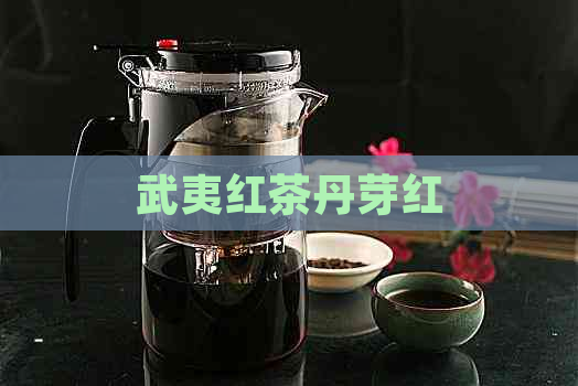 武夷红茶丹芽红