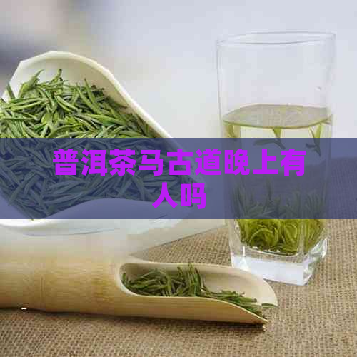 普洱茶马古道晚上有人吗