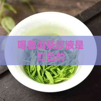 喝普洱茶尿液是红色的