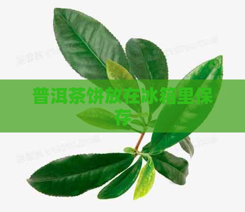 普洱茶饼放在冰箱里保存