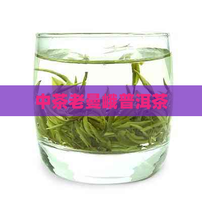 中茶老曼峨普洱茶