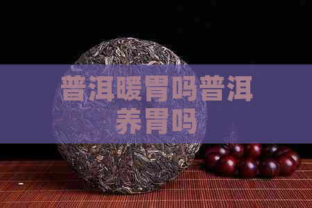 普洱暖胃吗普洱养胃吗