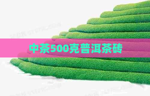 中茶500克普洱茶砖