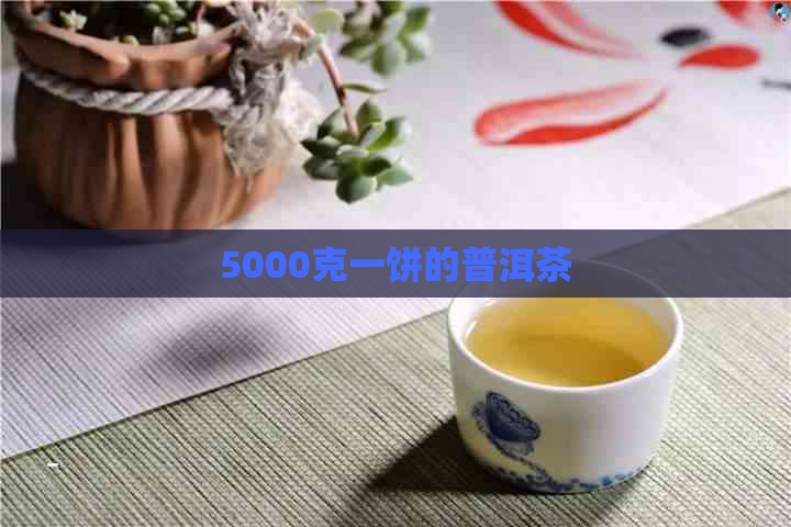 5000克一饼的普洱茶