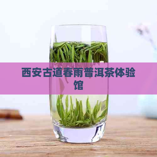 西安古道春雨普洱茶体验馆