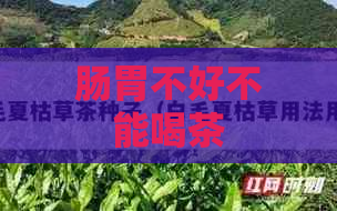 肠胃不好不能喝茶