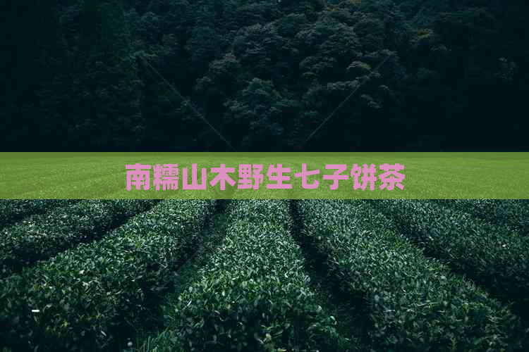 南糯山木野生七子饼茶