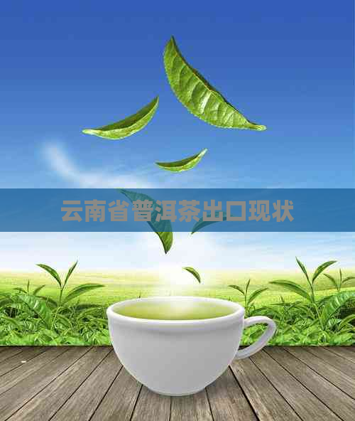 云南省普洱茶出口现状