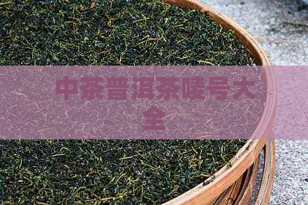 中茶普洱茶唛号大全