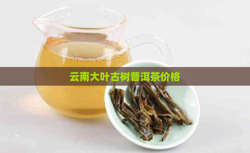 云南大叶古树普洱茶价格