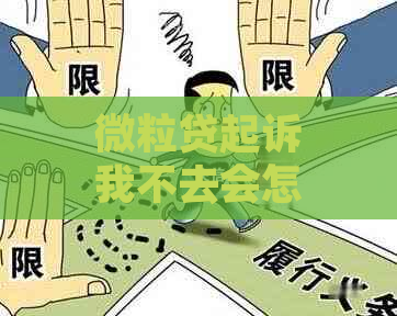 微粒贷起诉我不去会怎样