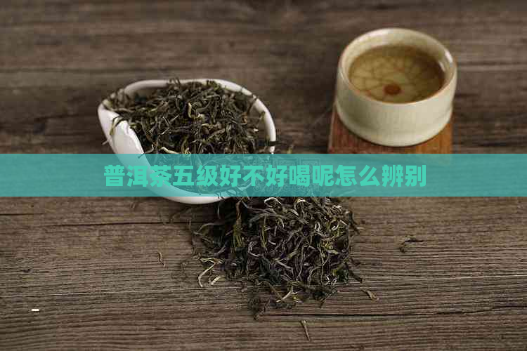 普洱茶五级好不好喝呢怎么辨别