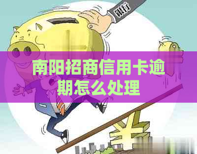 南阳招商信用卡逾期怎么处理