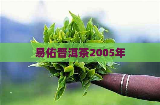 易佑普洱茶2005年