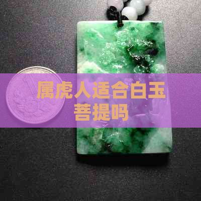 属虎人适合白玉菩提吗