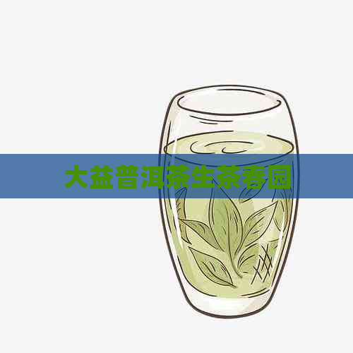 大益普洱茶生茶春园