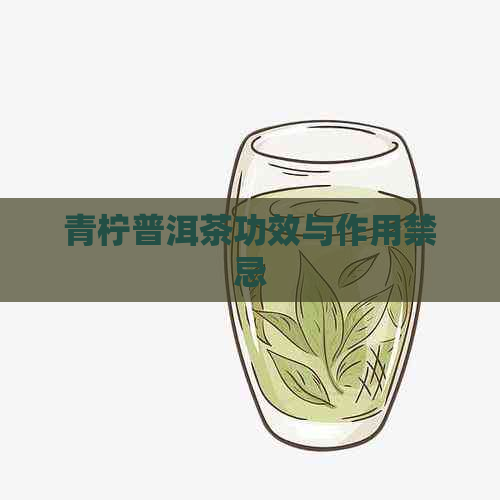 青柠普洱茶功效与作用禁忌