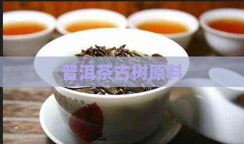 普洱茶古树原料