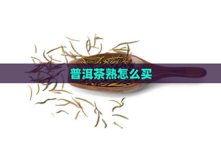 普洱茶熟怎么买