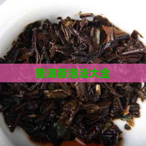 普洱茶泡法大全