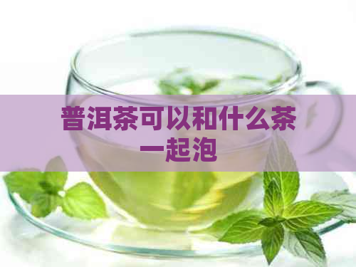 普洱茶可以和什么茶一起泡