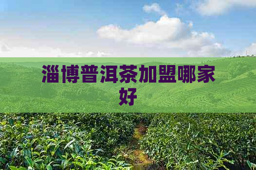 淄博普洱茶加盟哪家好