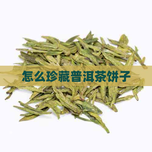 怎么珍藏普洱茶饼子