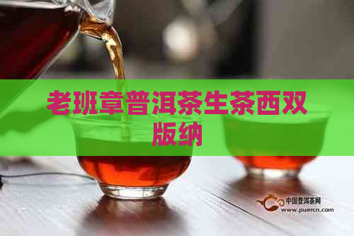 老班章普洱茶生茶西双版纳