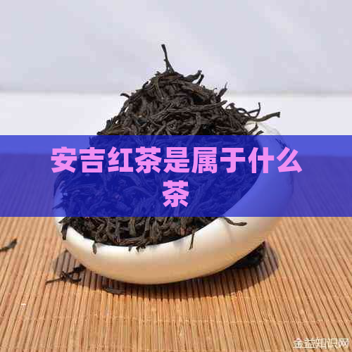 安吉红茶是属于什么茶