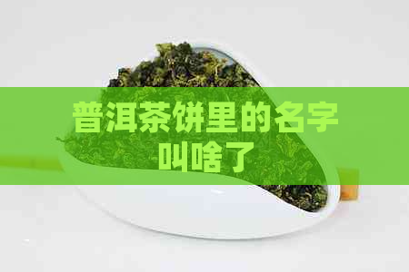 普洱茶饼里的名字叫啥了