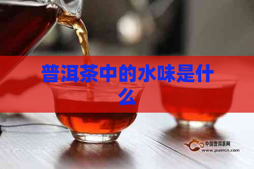 普洱茶中的水味是什么