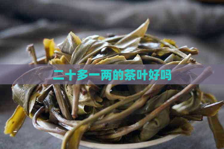 二十多一两的茶叶好吗