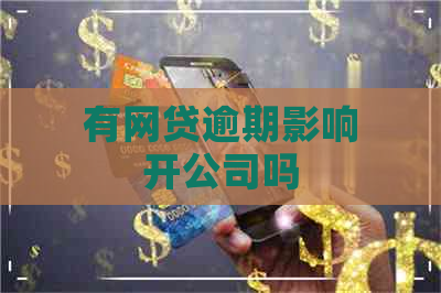 有网贷逾期影响开公司吗