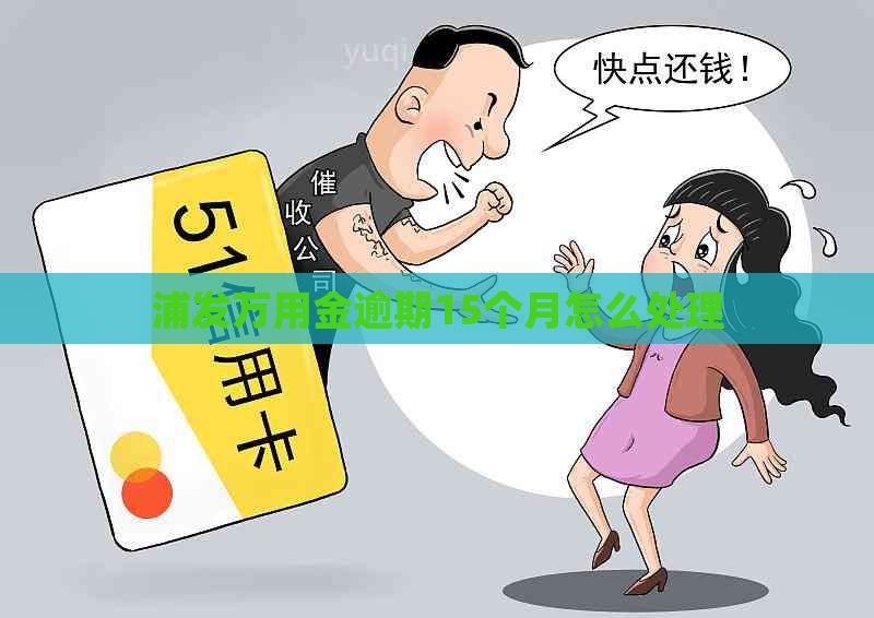 浦发万用金逾期15个月怎么处理